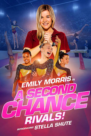 A Second Chance Rivals! 2019 Hindi Dual Audio 300MB HD Poster Download - filmyfly