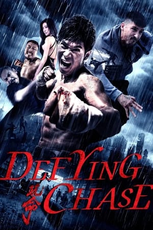 Defying Chase (2018) Hindi Dual Audio 350MB HD Poster Download - filmyfly