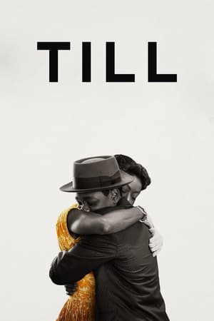 Till 2022 Hindi Dual Audio – HD Poster Download - filmyfly